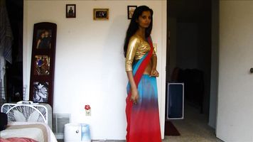North Indian Bhabhi In Sari - Movies.